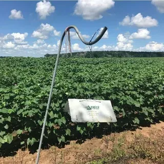 thumbnail for publication: Insect Traps